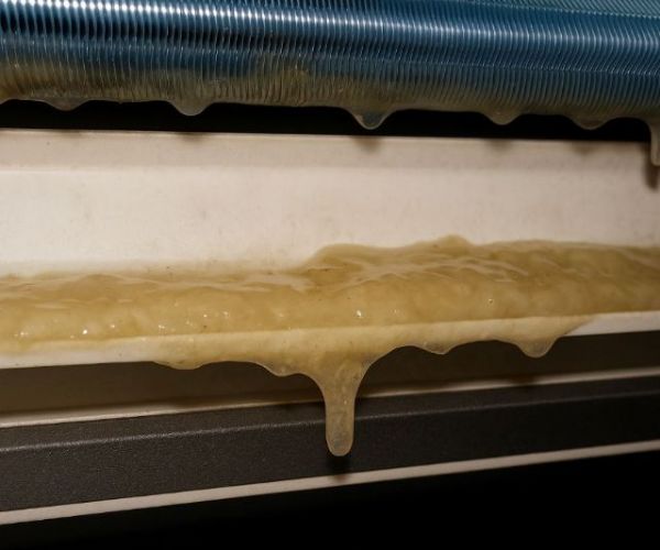 冷氣黴菌滋生引起過敏？了解原因與預防方法，守護室內健康空氣